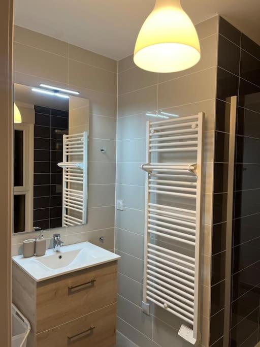De Charme Neuf Appartement Colmar